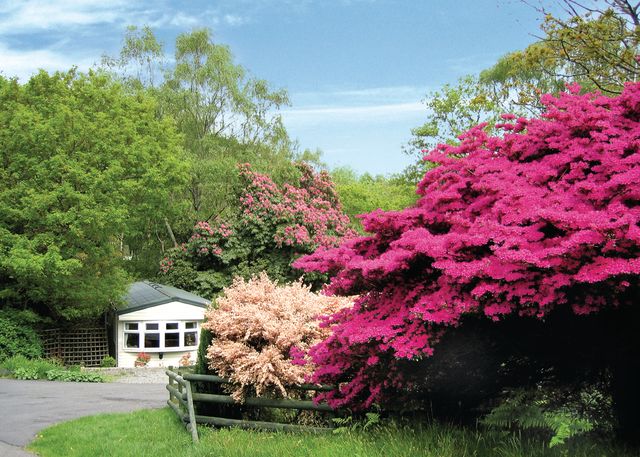 Aberdunant Country Park