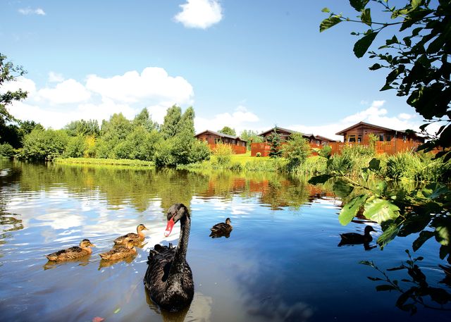 Ashlea Pools Country Park